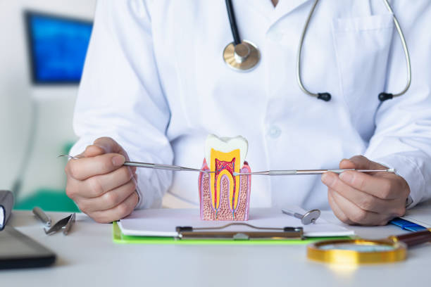 Best Emergency Tooth Extraction in Rmel Valley Village, CA